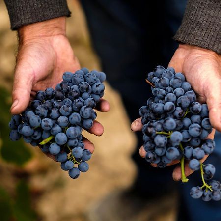 Enoturismo Celler Pinol Daire Batea Dış mekan fotoğraf