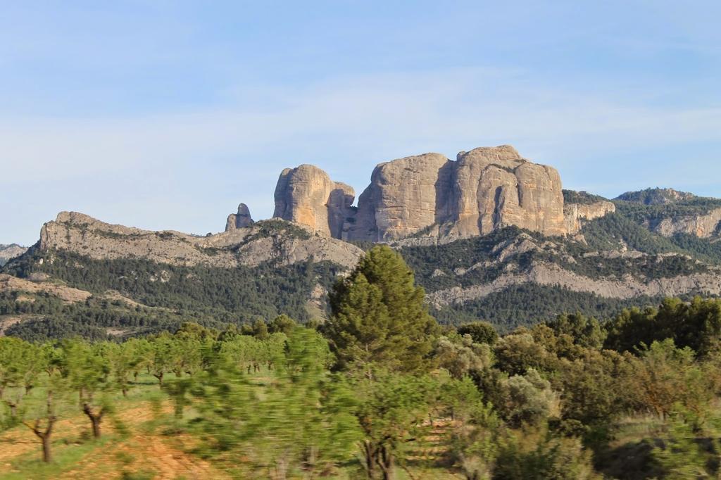 Enoturismo Celler Pinol Daire Batea Dış mekan fotoğraf