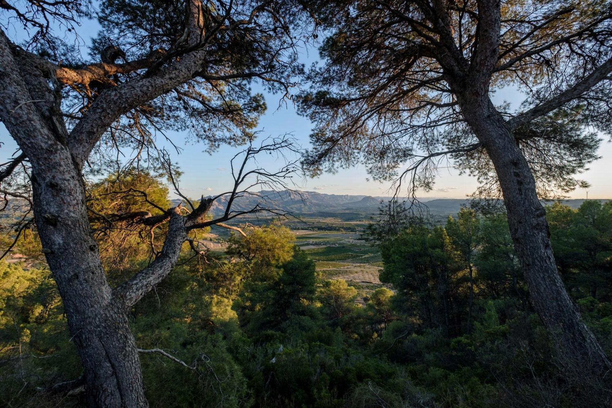 Enoturismo Celler Pinol Daire Batea Dış mekan fotoğraf