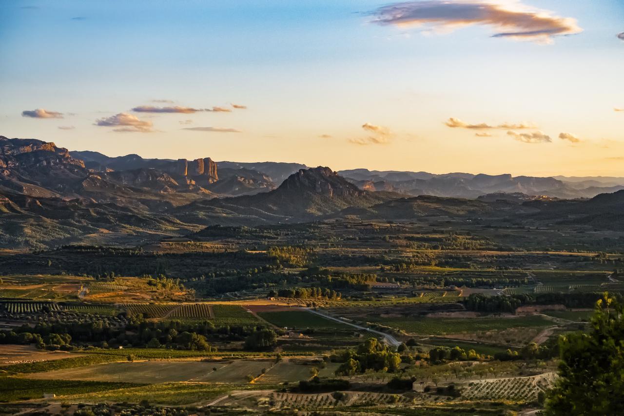 Enoturismo Celler Pinol Daire Batea Dış mekan fotoğraf